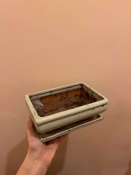 Photo of free Bonsai pots (Milton) #2