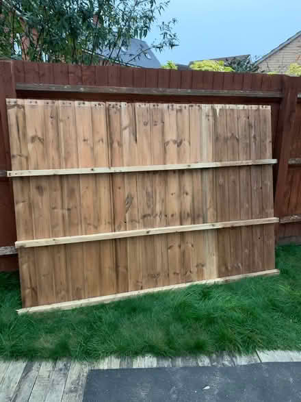 Photo of free Wood- shed panels (Colchester CO2) #2