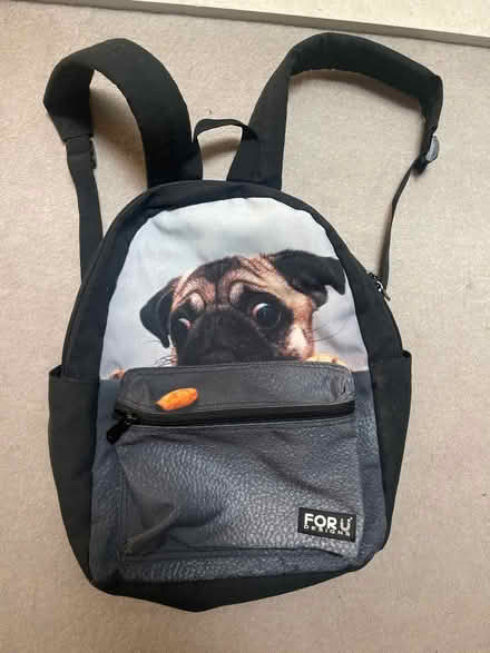 Photo of free Pug backpack (KT22 Oxshott) #1