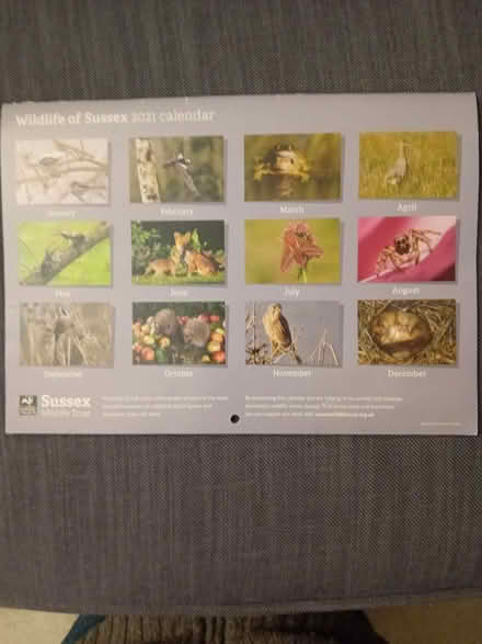Photo of free 2021 wildlife calender (Eastbourne BN21) #2