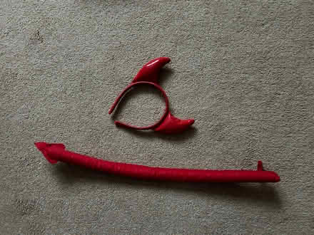 Photo of free Fancy Dress Outfits (Woodley RG5) #4