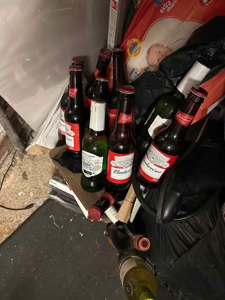 Photo of free Bottle beer (Harrow Ha3 7dy) #1