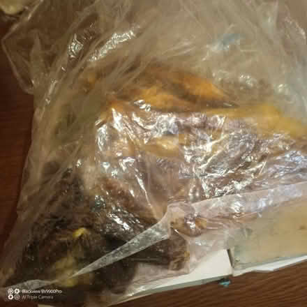 Photo of free 4xwet food toppers+treats (CH48) (Wirral) #2