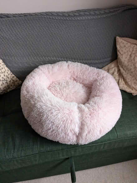 Photo of free Dog/cat bed (Bristol North / Stoke Gifford) #1