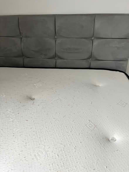 Photo of free Small double divan bed (Paulsgrove) #1