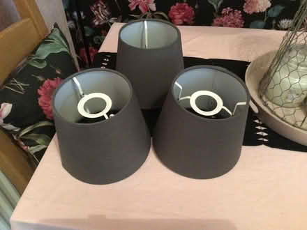 Photo of free 3 grey light/lamp shades (DH8 5NX) #1