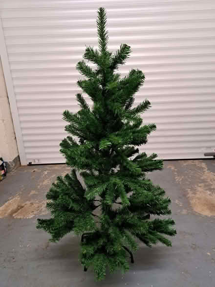 Photo of free Christmas tree (Callowell GL5) #1