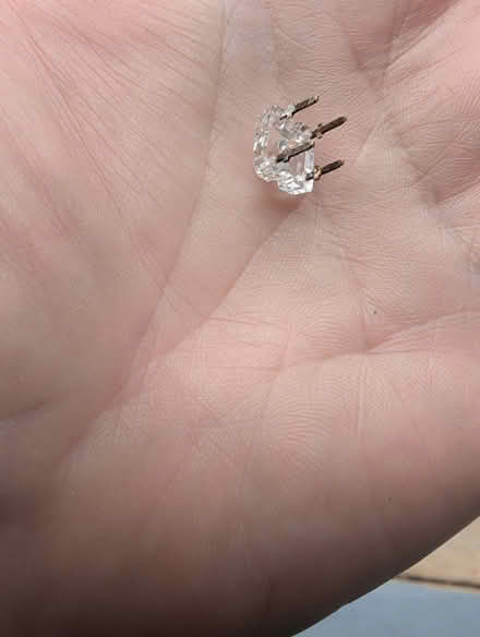 Photo of free LEDs (Sandy Springs) #2