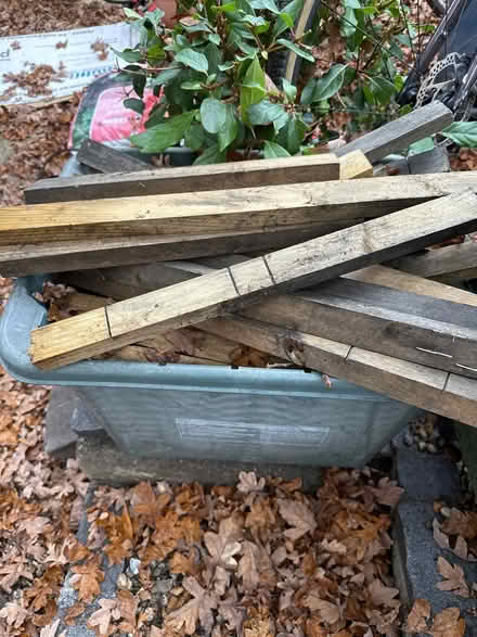 Photo of free Timber external grade off cuts (Headington OX3) #1