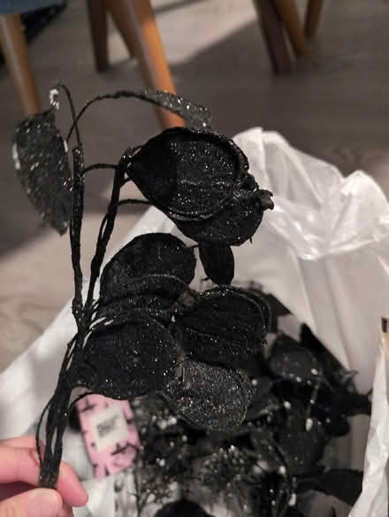 Photo of free Artificial black flowers (Cottage Grove wi) #2