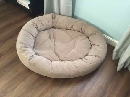 Photo of free Dog beds (Tyngsboro-East) #1