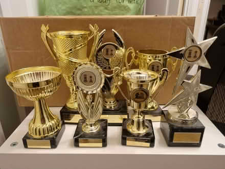 Photo of free Chess trophies x7 (Arborfield Garrison RG2) #1