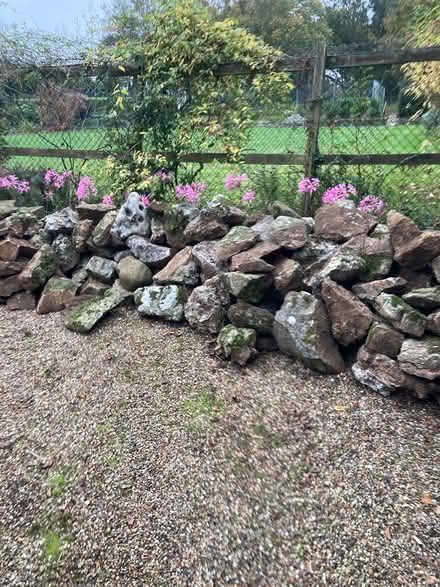 Photo of free Rockery stones, paving stones (Westerfield. Ipswich) #2