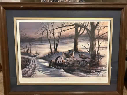 Photo of free Large Wildlife Print (Stevenage SG2) #1