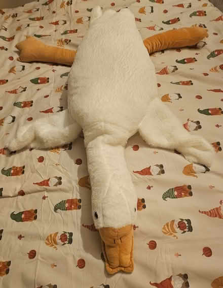 Photo of free Large duck teddy (TQ14) #1