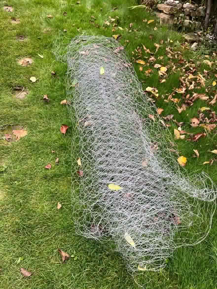 Photo of free Chicken wire (OX4 near Donnington Bridge) #1