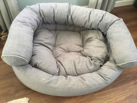 Photo of free Dog beds (Tyngsboro-East) #2