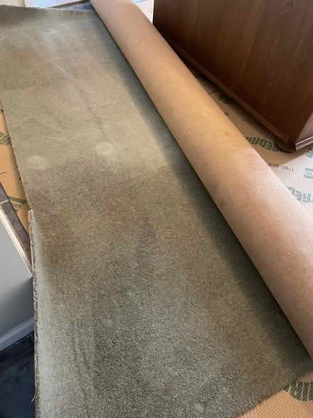 Photo of free Carpet (North Walsham NR28) #1