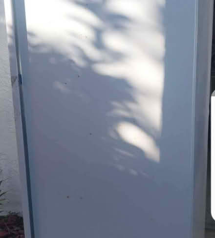 Photo of free Upright freezer (Williamsburg fl) #1