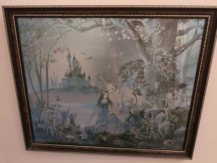 Photo of free Fairy holographic look framed pic (Goldsworth park , Woking) #1