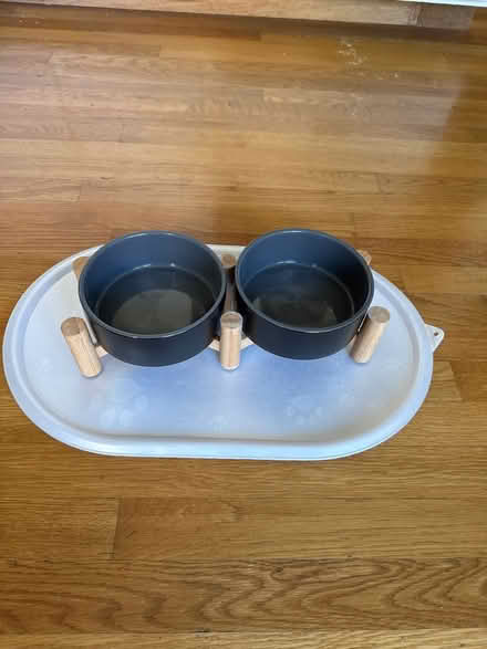 Photo of free Ceramic dog bowls (Lexington center) #1