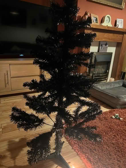 Photo of free 4ft black Christmas tree (Leicester LE2) #1