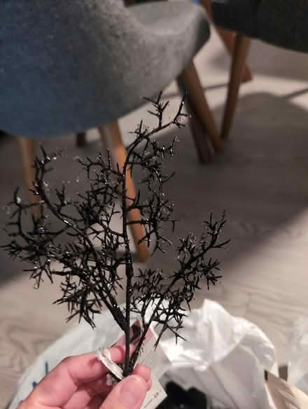 Photo of free Artificial black flowers (Cottage Grove wi) #3