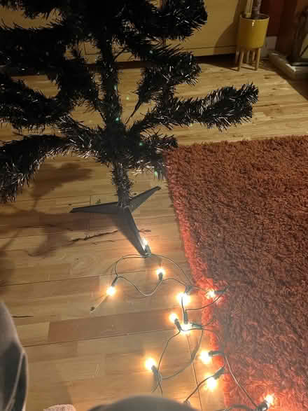 Photo of free 4ft black Christmas tree (Leicester LE2) #2