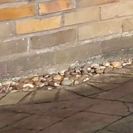 Photo of free Garden stones (Cliff Hill CV34) #1