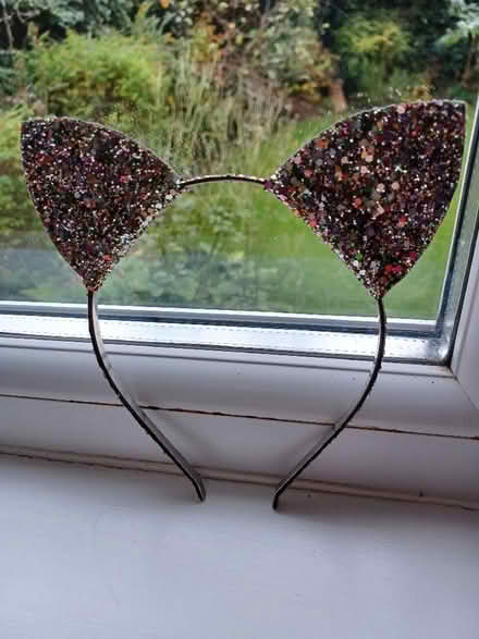 Photo of free Sparkly cat ears (Sale M33) #1