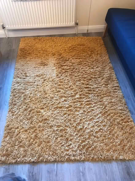 Photo of free Medium rug (Glasnevin, Dublin 11) #1