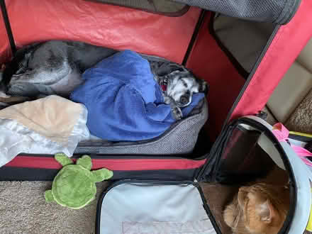 Photo of free Collapsible Dog Crate (Medium) (Smyrna, Vinings, Mableton) #2
