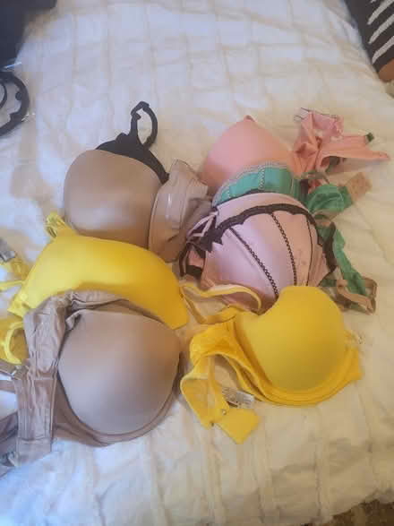 Photo of free 36C bra, barely worn (North Hollywood Arts District) #1