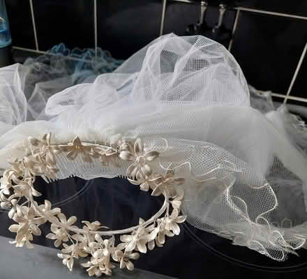 Photo of free Short Wedding Veil (Waterlooville) #1