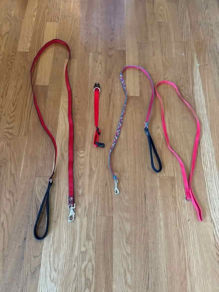 Photo of free Dog collar and leashes (Lexington center) #1