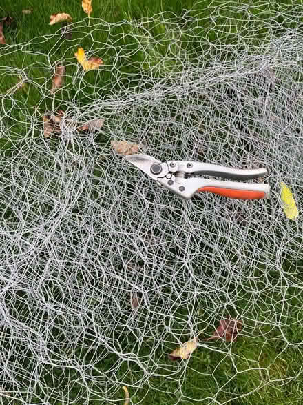 Photo of free Chicken wire (OX4 near Donnington Bridge) #2