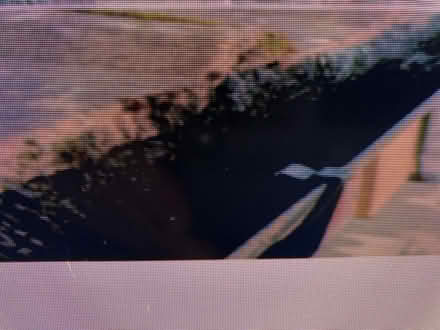 Photo of Roof gutter guard/brush (Patterdale CA11) #1