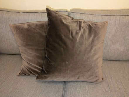 Photo of free 2x larger brown cushions (Harringay N4) #1