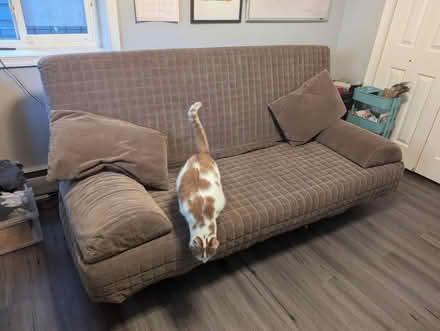 Photo of free Futon bed (Capitol Hill) #1