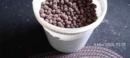 Photo of free Clay balls (Saville Park HX1) #1