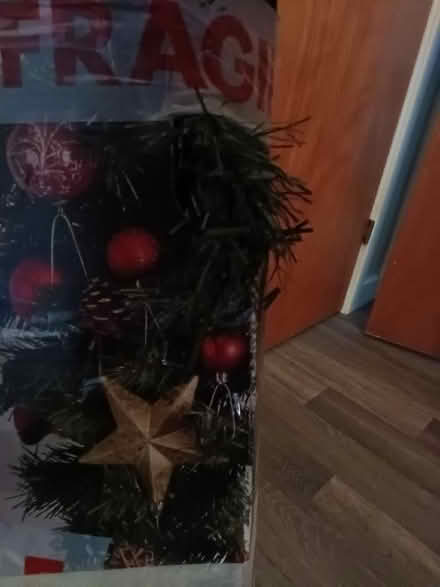 Photo of free 5ft Christmas tree (Hester's Way GL51) #2