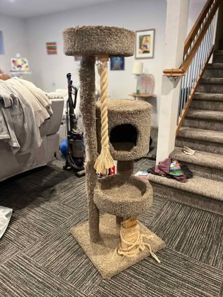 Photo of free Tall Very Used Cat Tower (Near Vine and Shields) #1