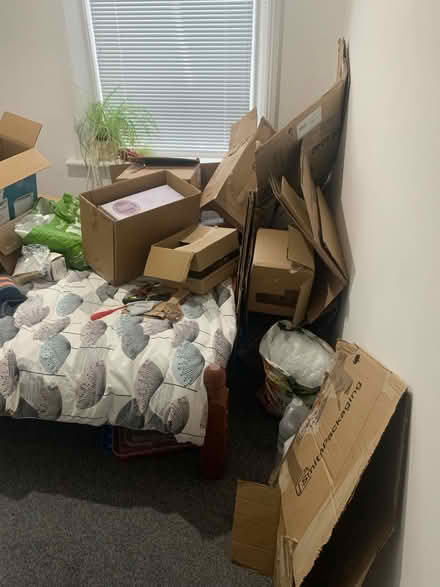 Photo of free Cardboard boxes (North Shields NE30) #1