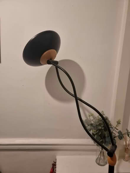 Photo of free 6ft standing lamp (Aigburth L17) #4