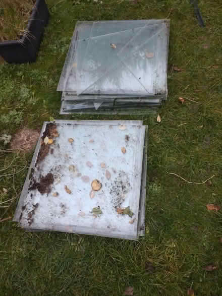 Photo of free Greenhouse glass (Rushden town centre NN10) #1