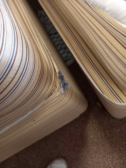 Photo of free Mix of furniture- Armchair and beds (WD24) #2