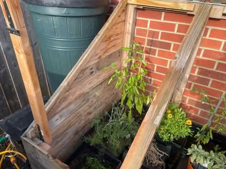 Photo of free Cold Frame 1200x1200 (Nunnery Wood WR5) #3