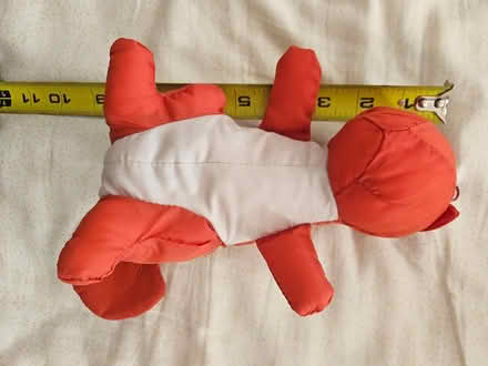 Photo of free squirrel bag (Roxbury) #1
