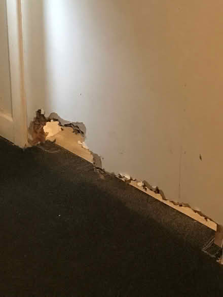 Photo of Door internal (Woodside CH41) #1