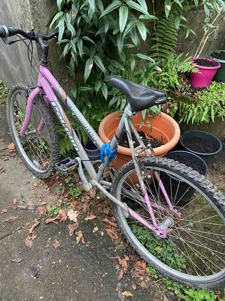 Photo of free Bike (OX33 Horspath) #1